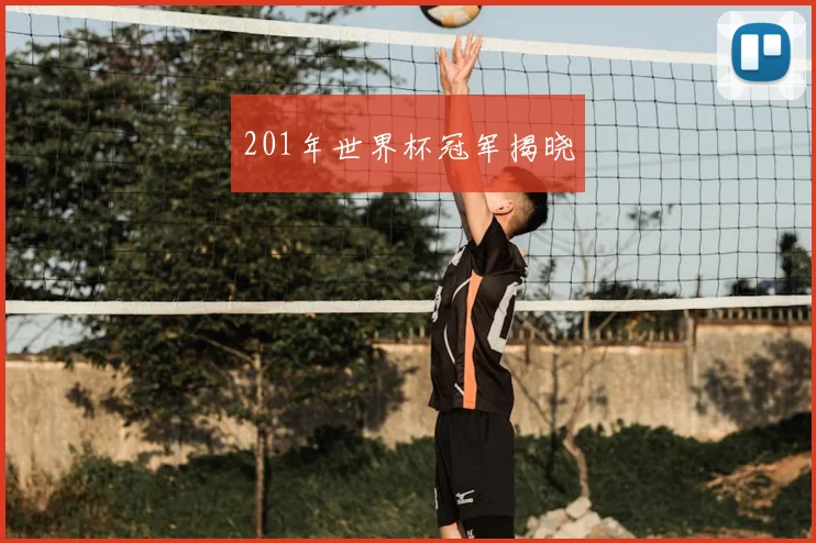 201年世界杯冠军揭晓