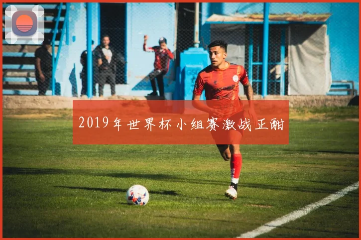 2019年世界杯小组赛激战正酣
