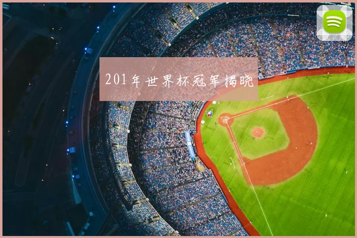 201年世界杯冠军揭晓