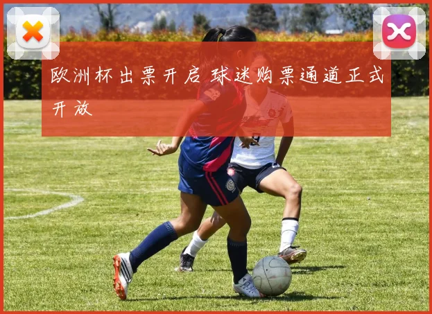 欧洲杯出票开启 球迷购票通道正式开放