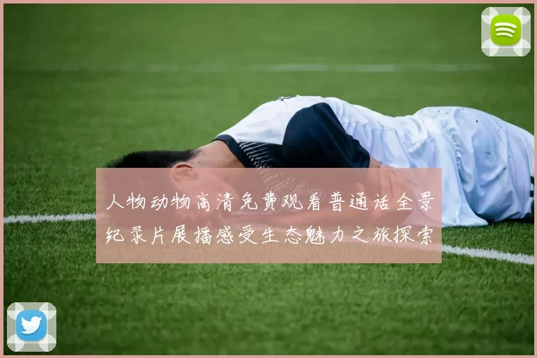 人物动物高清免费观看普通话全景纪录片展播感受生态魅力之旅探索