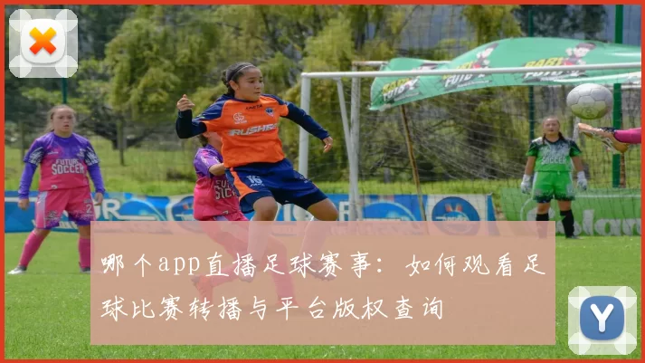 哪个app直播足球赛事：如何观看足球比赛转播与平台版权查询