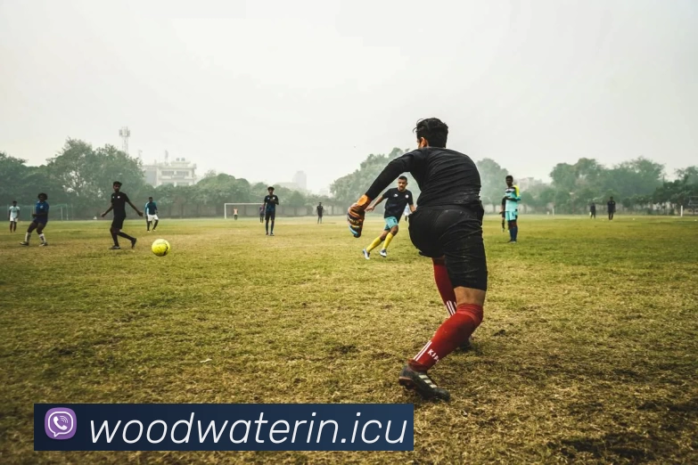 多媒体互动体验