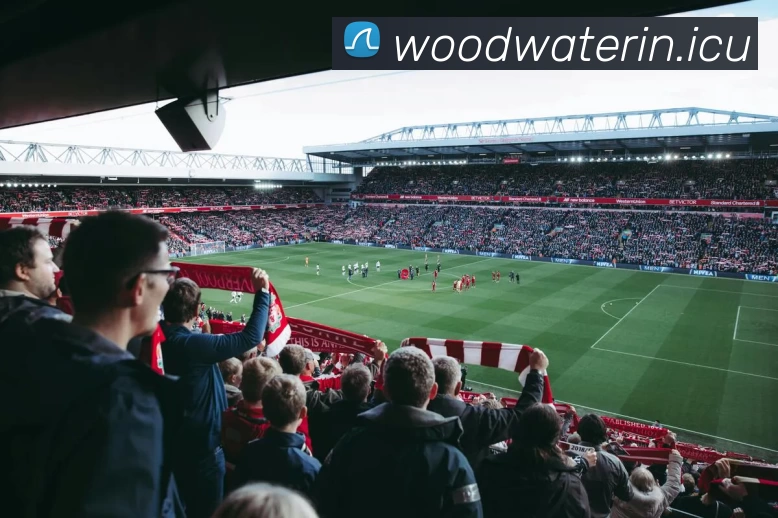 九游网页版·官方版在线入口 - 九游(中国)APP 高清赛事图